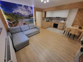 Apartament Chyców Potok